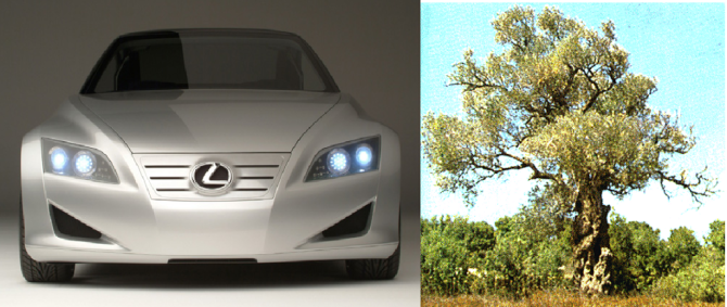 The Lexus and the Olive tree